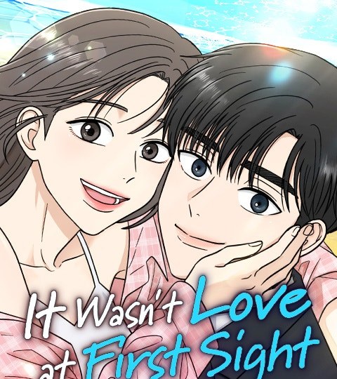 It Wasn't Love at First Sight封面